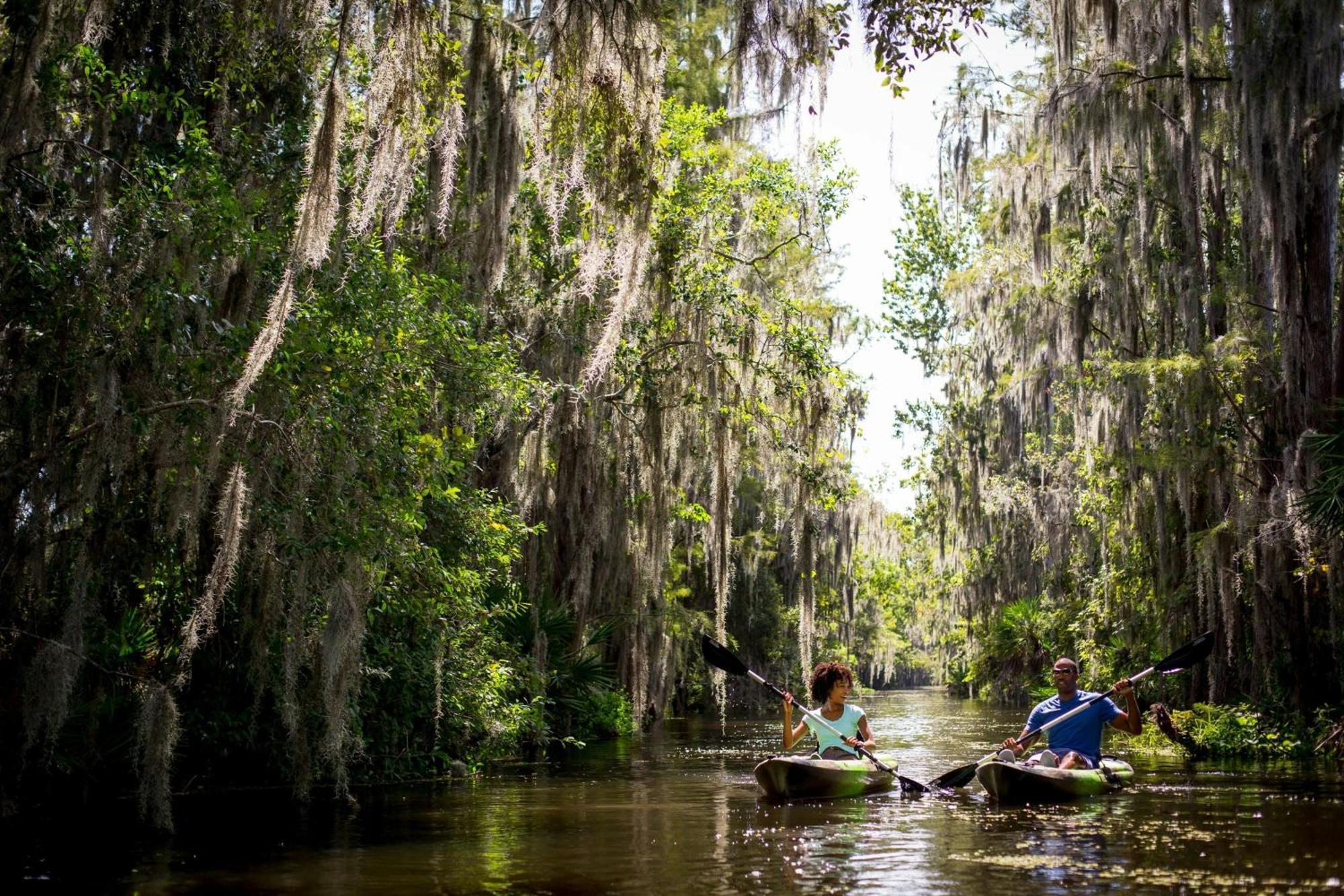 The Ritz-Carlton Orlando, Grande Lakes Williamsburg Dış mekan fotoğraf