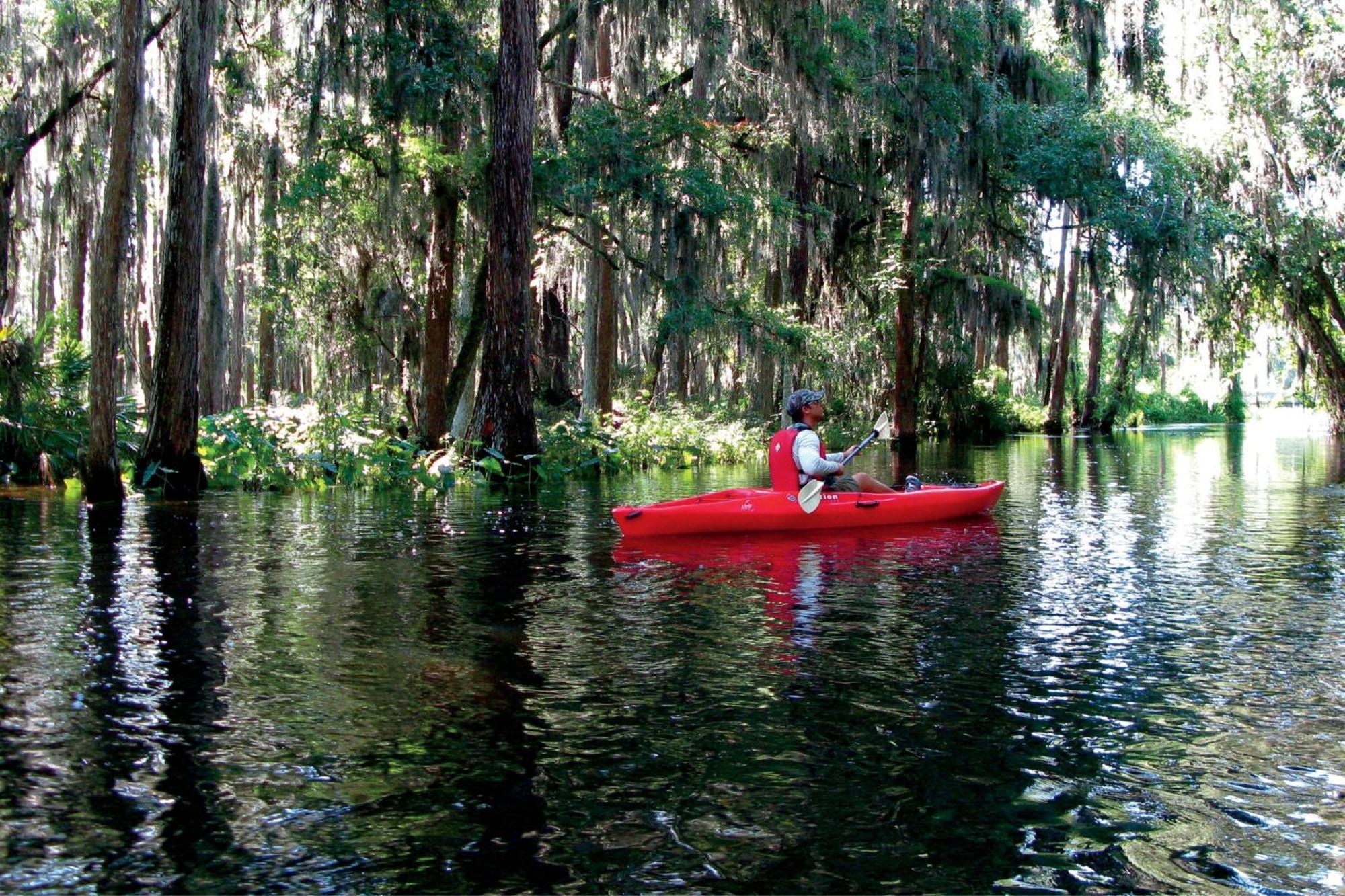 The Ritz-Carlton Orlando, Grande Lakes Williamsburg Dış mekan fotoğraf